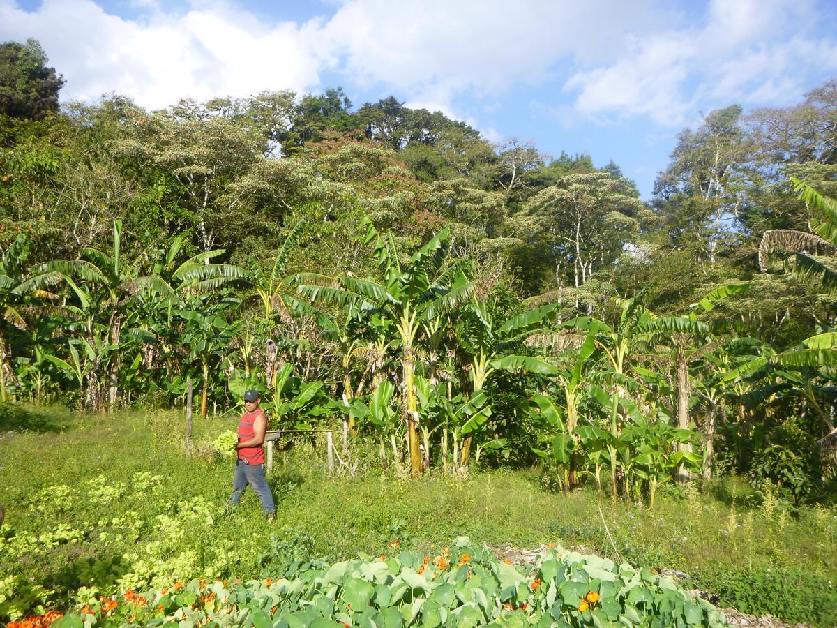 Finca Lindos Ojos เอสเตลิ ภายนอก รูปภาพ
